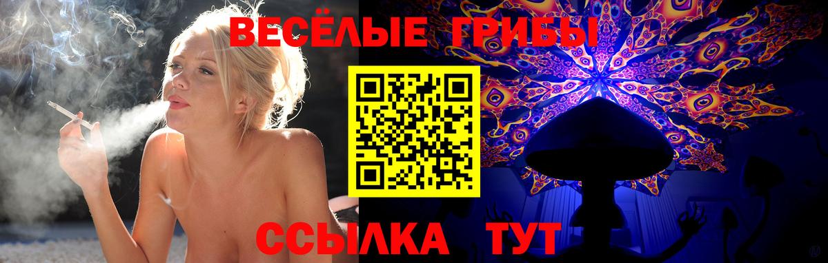 Галлюциногенные грибы прущие грибы  Вход с VPN  Нерюнгри 